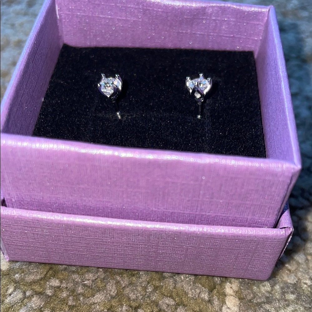 Elegant Silver Stud Earrings
